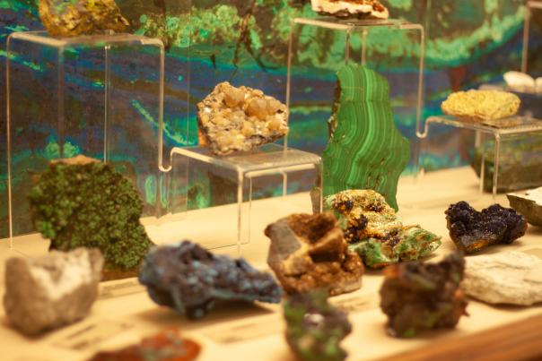 Collection of colorful minerals displayed on clear stands against a vibrant backdrop, showcasing textures of green, blue, and earthy tones in a museum-like setting.