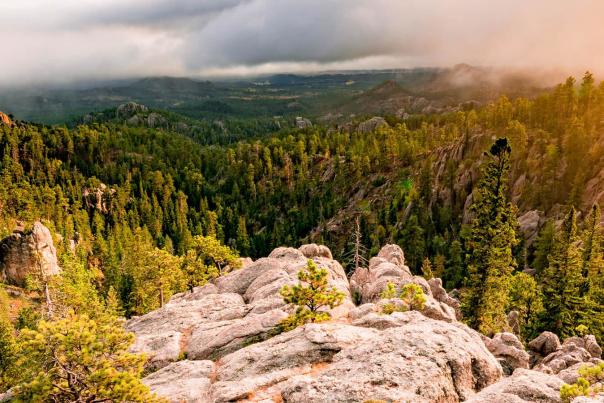 Black Hills National Forest