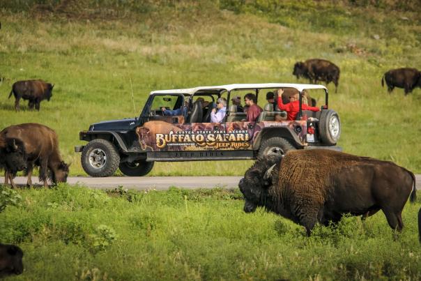 Exclusive And Unordinary Group Experiences In And Around Rapid City, South Dakota