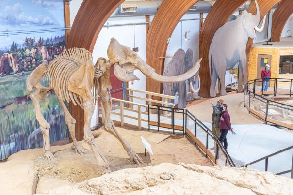 Dig Into The Mammoth Site Sinkhole For A Colossal Adventure Near Rapid City