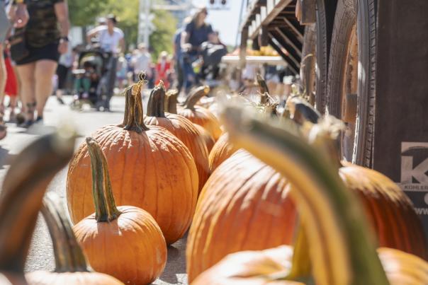 Pumpkins line a vendor table during a busy fall festival in downtown Rapid City as visitors browse booths in the background.