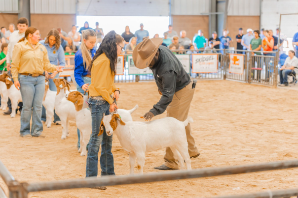 Jr. Livestock Show