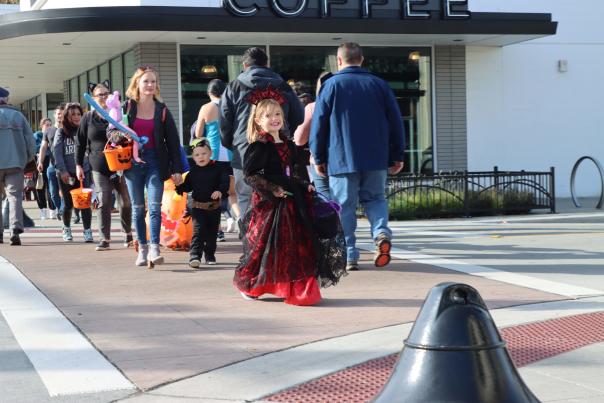 52466177738_0105144ac9_o