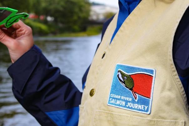 Cedar River Salmon Journey10/7/2018Cedar River Salmon Journey. 10/72018