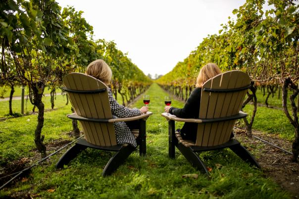 Newport Vineyards