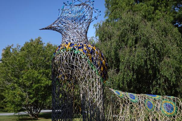 Bamboo Birds at Blithewold