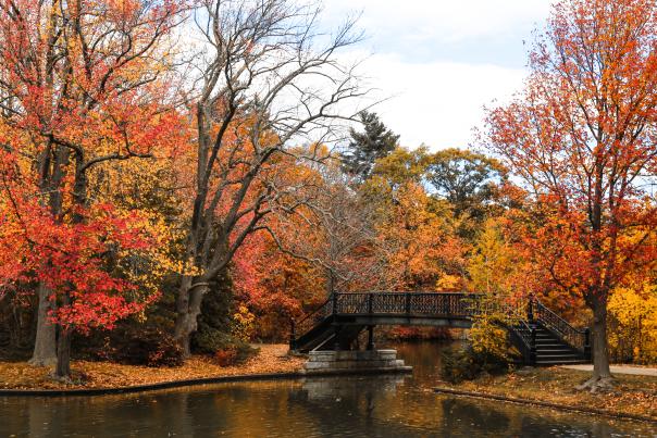Roger Williams Park Fall Foliage
