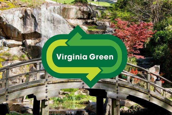Va Green button