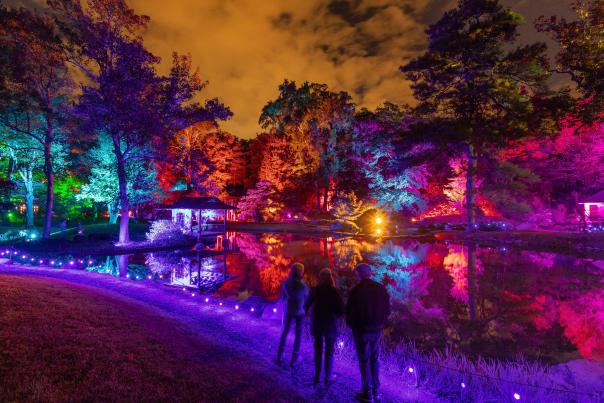 Maymont Garden Glow