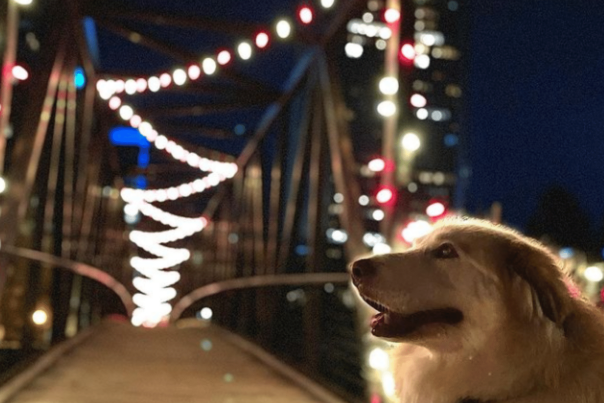 8 Holiday Instagram Spots to Visit in Downtown Richmond