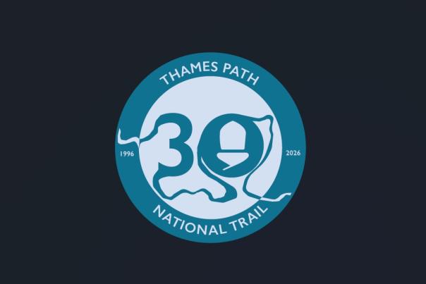 30 Year Anniversary Logo