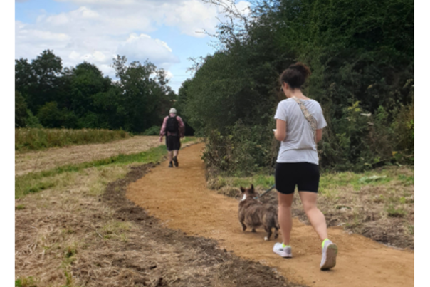 Dog on a lead