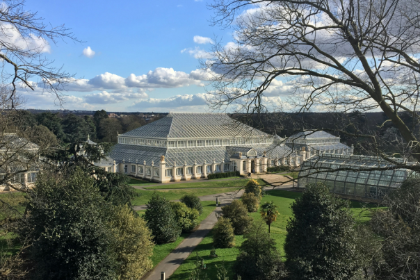 Kew Gardens