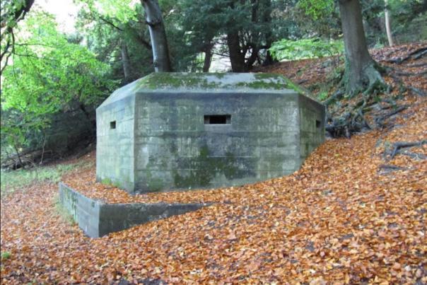 Pill Box, Hartslock Woods