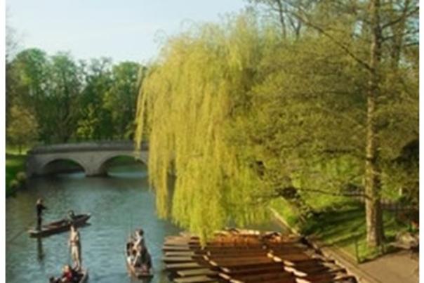 Punting, Salters Steamers, Oxford