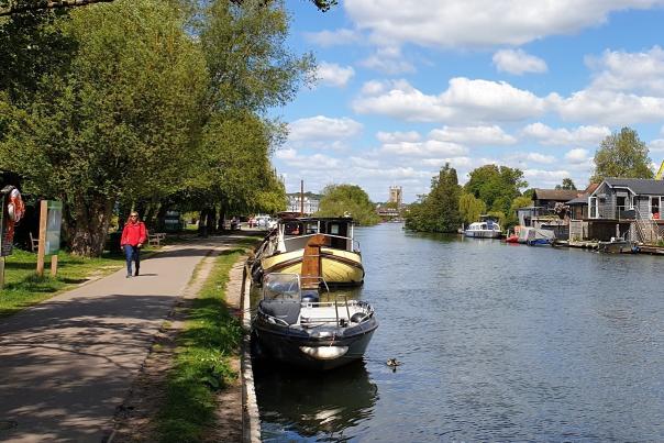 A view along the river Thames. The sun is shining, and there is a boat moored at the river bank.