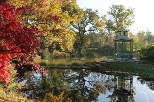 Cliveden National Trust, Water Garden, November