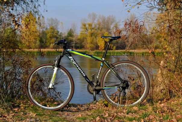 Bike near river