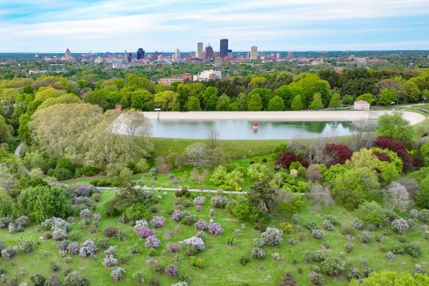 A drone image of the Rochester skyline surrounded by flower blooms