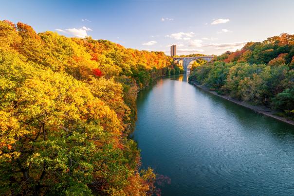 Fall aerial shot of the Genesee River with many fall foliage trees. Colorful trees include yellow, orange, and red leaves.