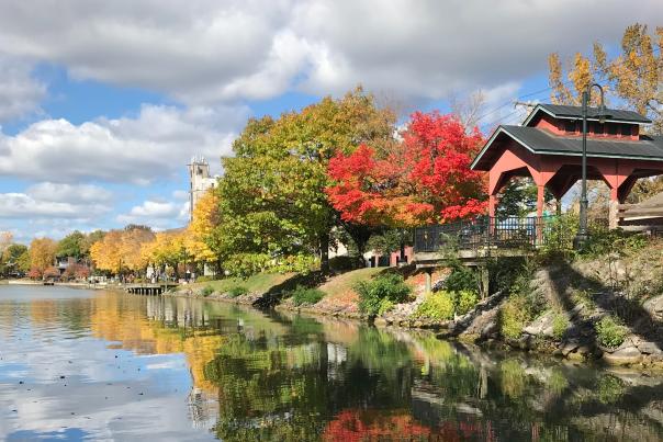 Fall foliage on the Erie Canal