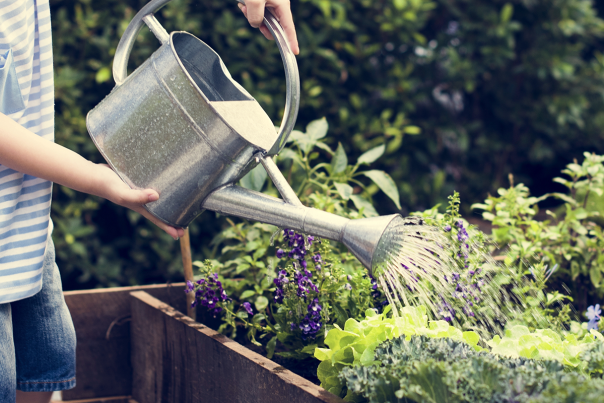 Family planting and watering home garden