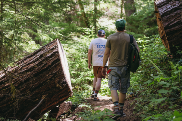 PNW Summer Hikes
