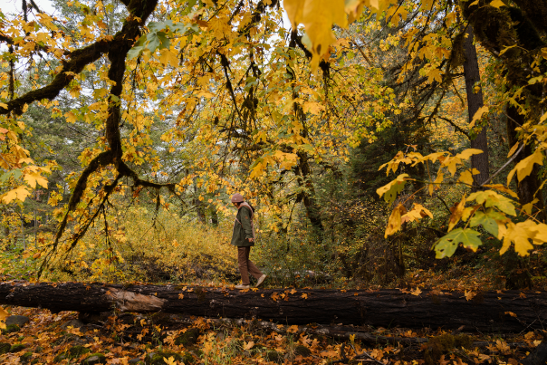 Autumn Colors Around Roseburg