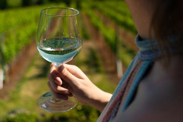 Woman holding white wine in front of vineyard rows.