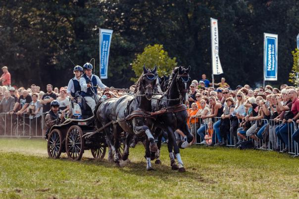 FEI World Driving Championship Four-in-Hand