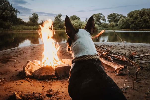 Glamorous Camping