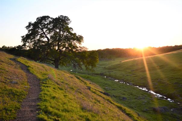 Deer Creek Hills Preservation Area, Hiking Trail