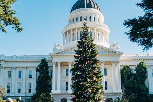 christmas tree in front of Sacramento's Capitol building