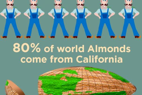 california_almond_inforgraphic_w640