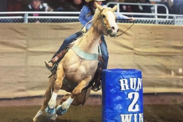 western_horse_expo
