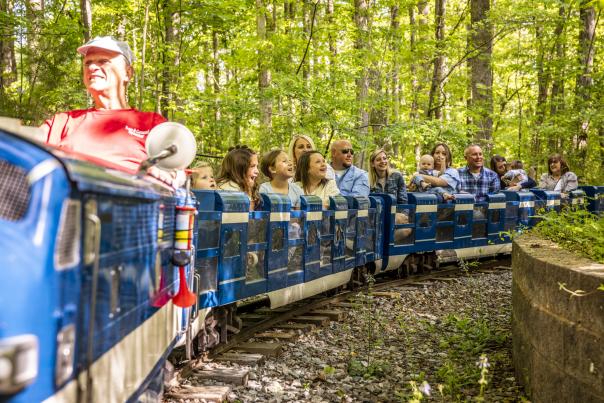 Group on small train attraction in woods