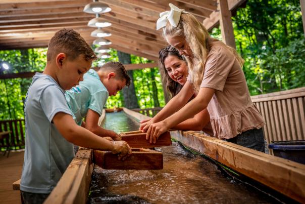 Gem Mining at Dan Nicholas