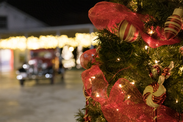 Close-Up of Christmas Tree