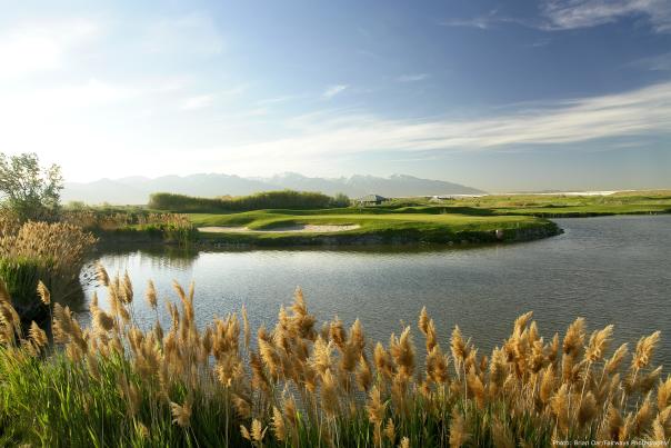 8green Golf Header Photo
