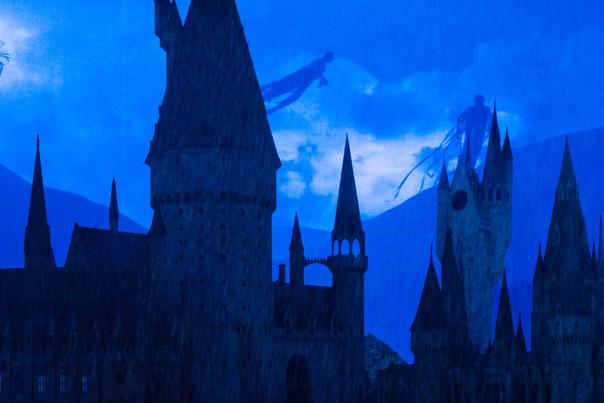 Harry Potter Experience