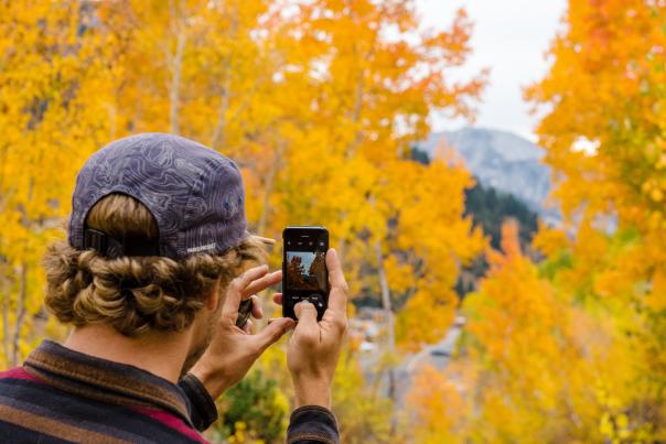 Man holding up a phone to take a photo of brighly colored fall leaves that are in the background
