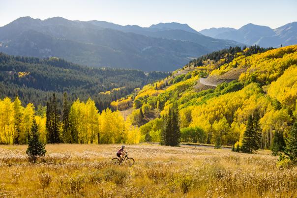 Fall - Brighton Resort
