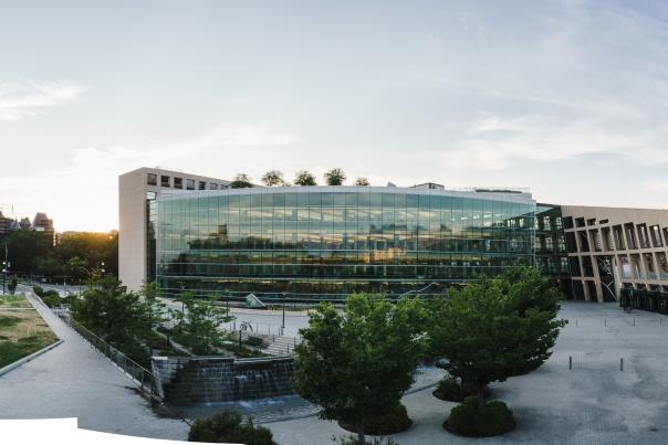 Downtown City Library
