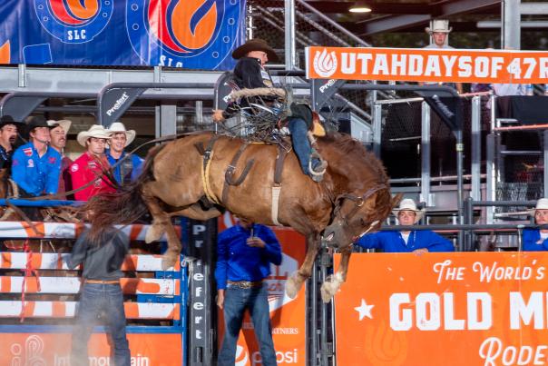 Cowboy on a bucking horse at the rodeo