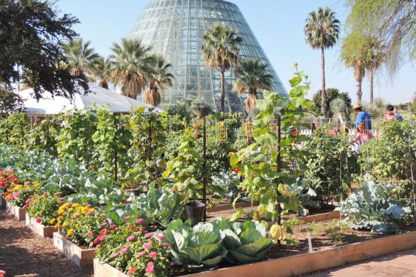 San Antonio Botanical Garden