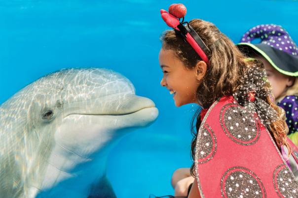 Girl in Halloween costume looking at dolphin