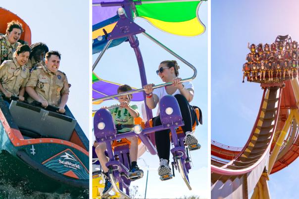 Three photos spliced together of roller coasters and rides