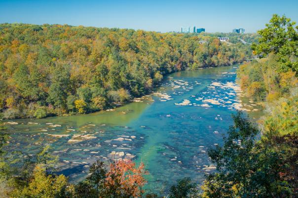 Overlooking the Chattahoochee River from East Palisades Trail In Sandy Springs, GA
