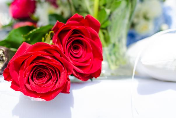 Two long stem roses from a Valentine's Day Stock Photography