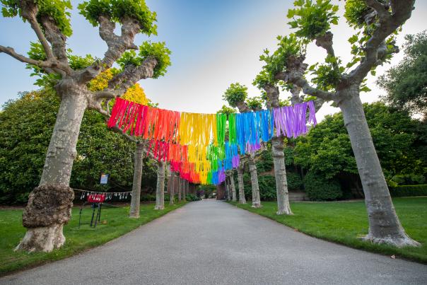 Rainbow ribbons strung across the trees at Filoli